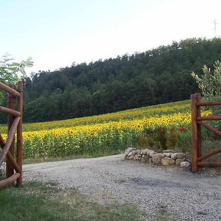 Appartamenti Con Cucina Nelle Colline Toscane Ангьяри Экстерьер фото