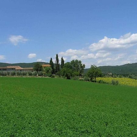 Appartamenti Con Cucina Nelle Colline Toscane Ангьяри Экстерьер фото