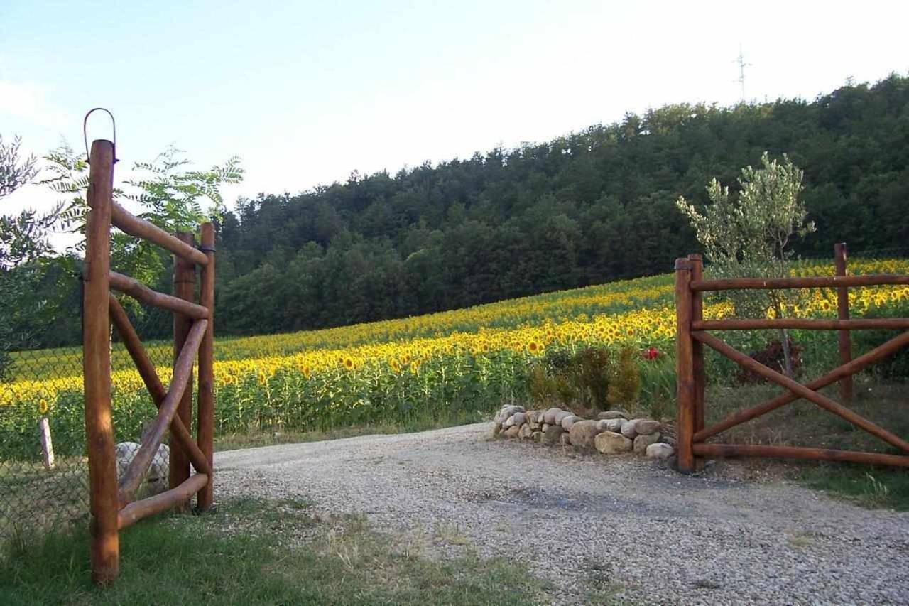 Appartamenti Con Cucina Nelle Colline Toscane Ангьяри Экстерьер фото