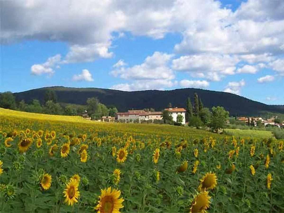 Appartamenti Con Cucina Nelle Colline Toscane Ангьяри Экстерьер фото