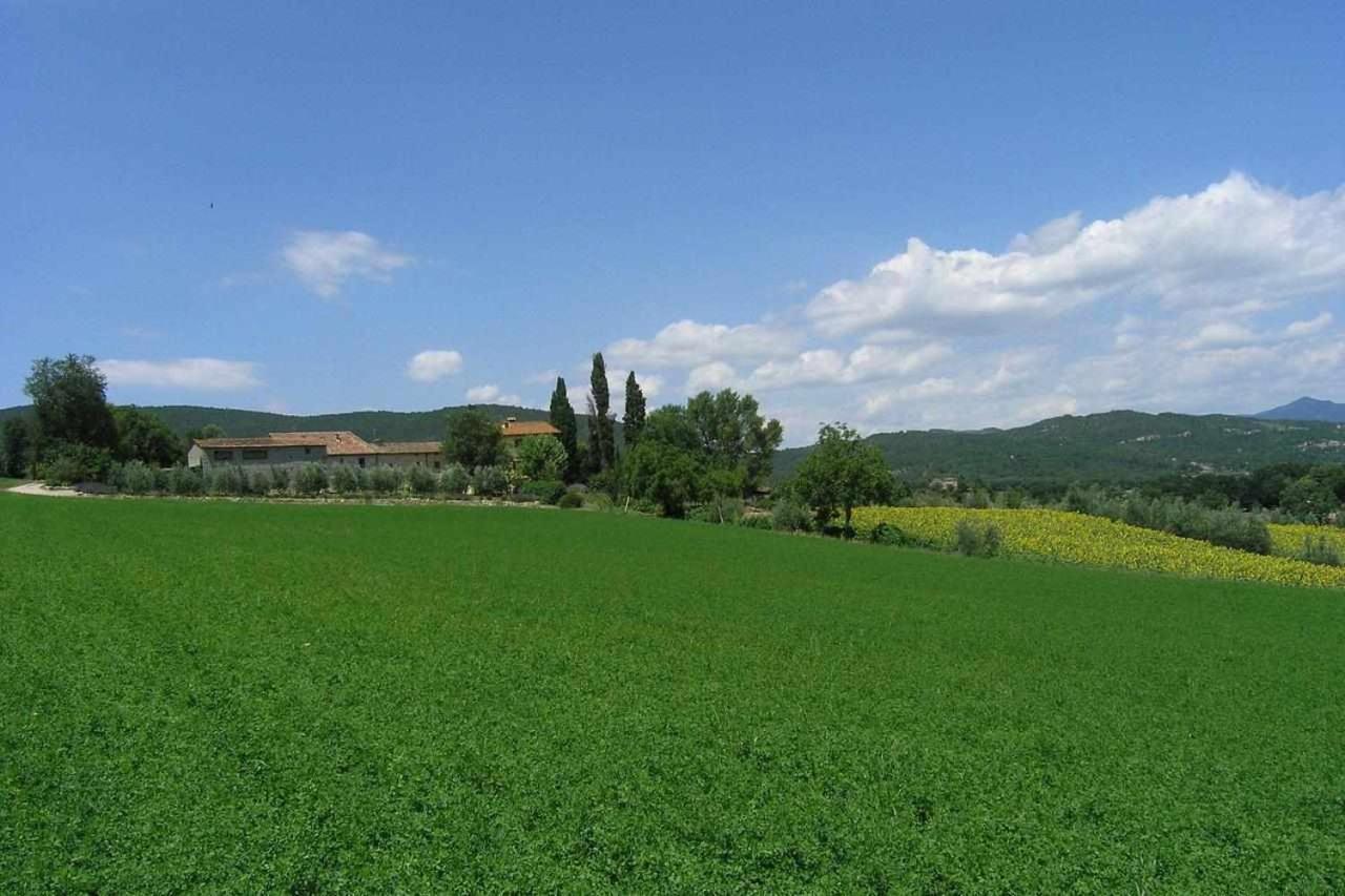 Appartamenti Con Cucina Nelle Colline Toscane Ангьяри Экстерьер фото
