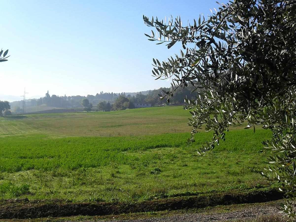 Appartamenti Con Cucina Nelle Colline Toscane Ангьяри Экстерьер фото
