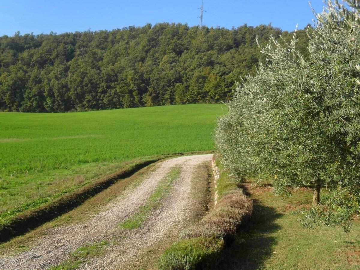 Appartamenti Con Cucina Nelle Colline Toscane Ангьяри Экстерьер фото